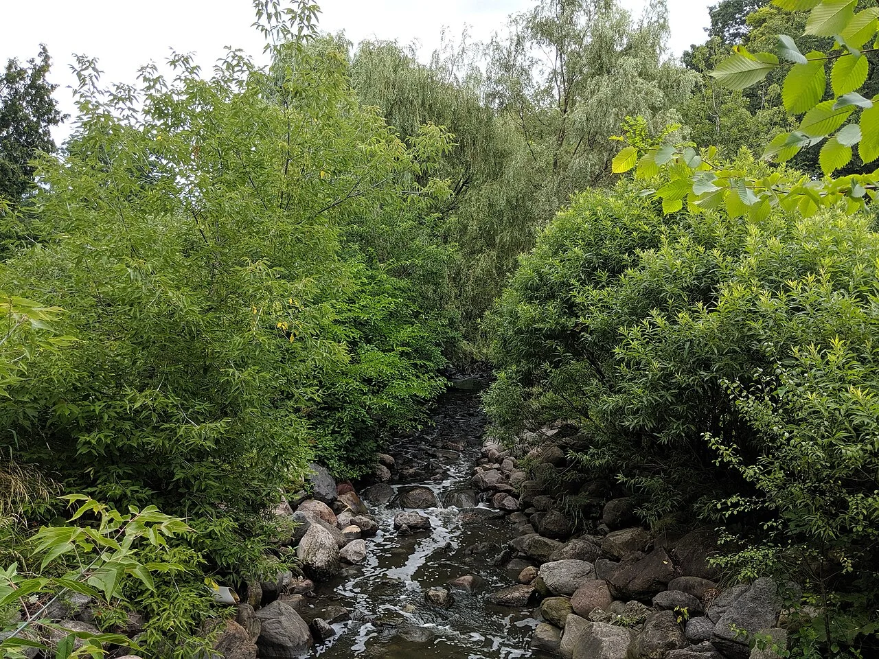 A leafy creek channel bordered by rocks in Edwards Gardens.