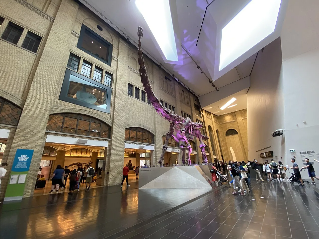 Historic interior wall and dinosaur skeleton in the ROM Crystal Court.