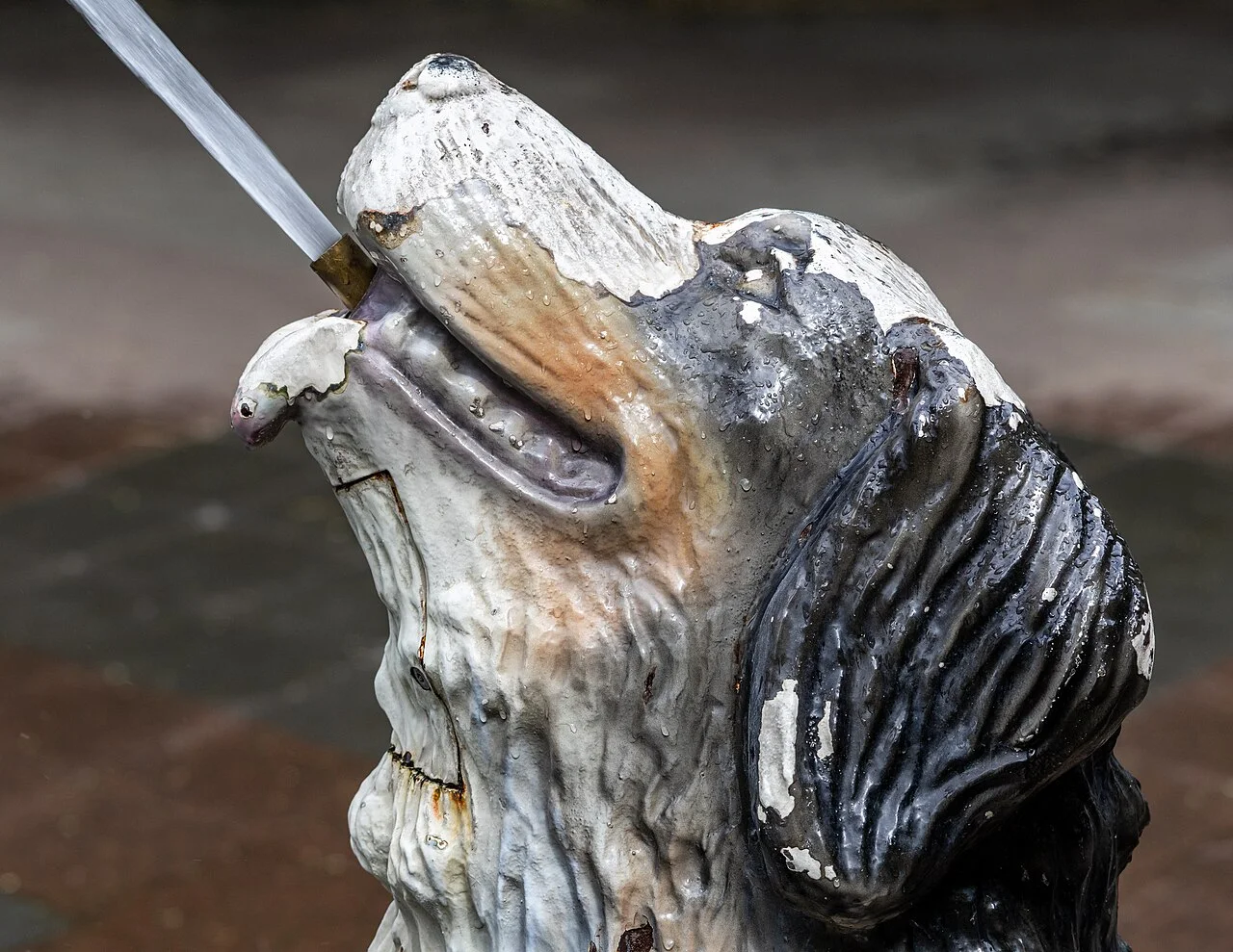 Close detail of a dog sculpture spraying water in Berczy Park fountain