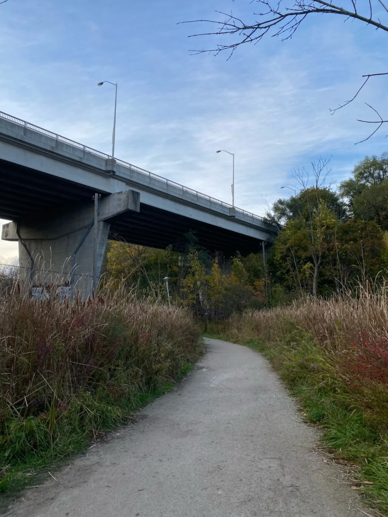 A Cedarvale Ravine footpath passing beneath a road bridge.