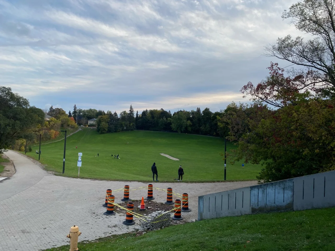 Cedarvale’s cricket field and surrounding paths viewed from higher ground.