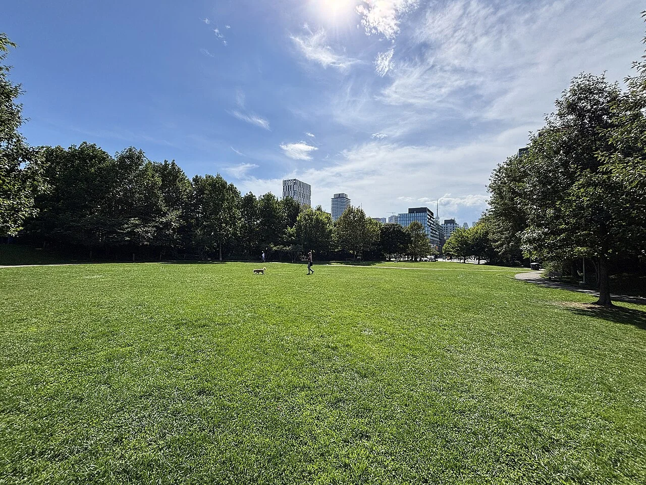 The broad central lawn and surrounding trees at Corktown Common.