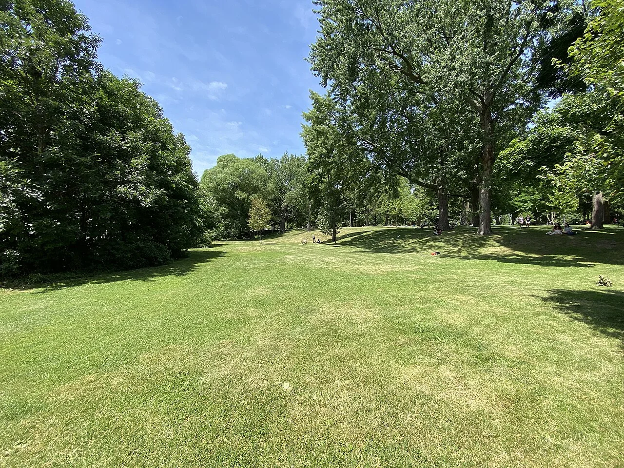 Grass and mature trees in Dufferin Grove Park.