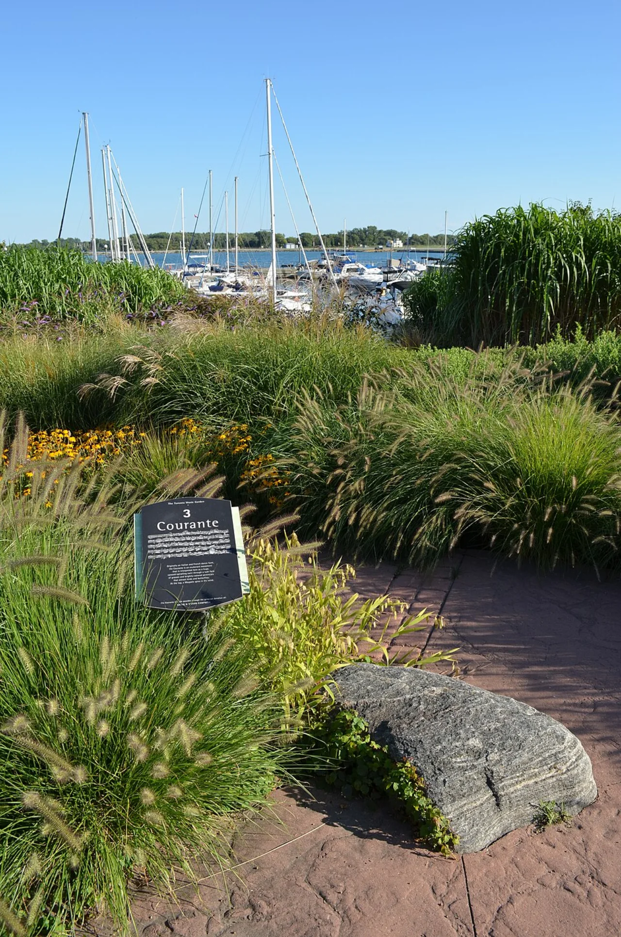 Grasses, planting, a path and the Courante interpretation sign at Toronto Music Garden.