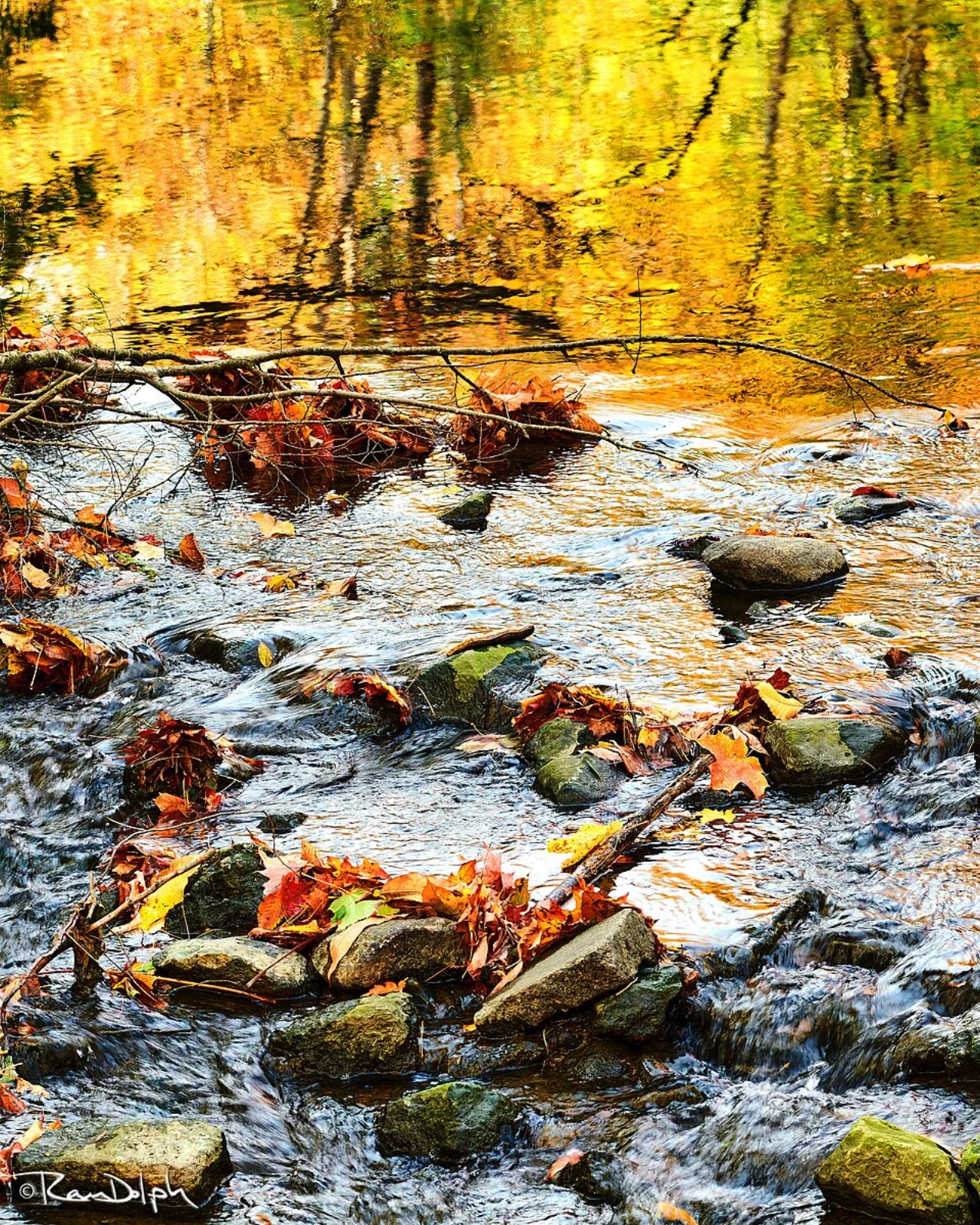Water flowing around rocks and leaves at Wilket Creek in autumn.