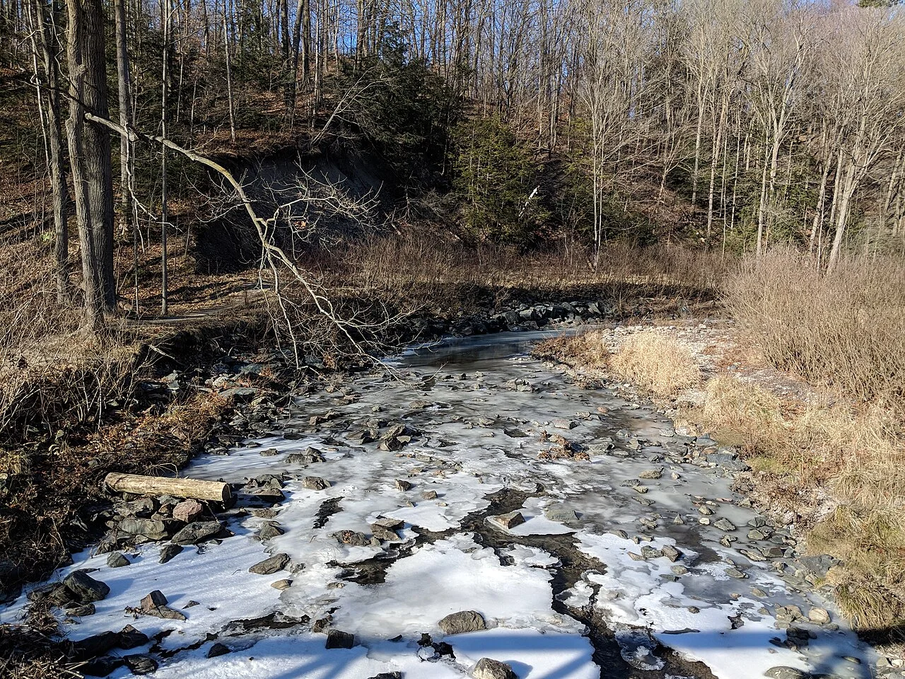 A partly frozen bend of Wilket Creek surrounded by winter woodland.