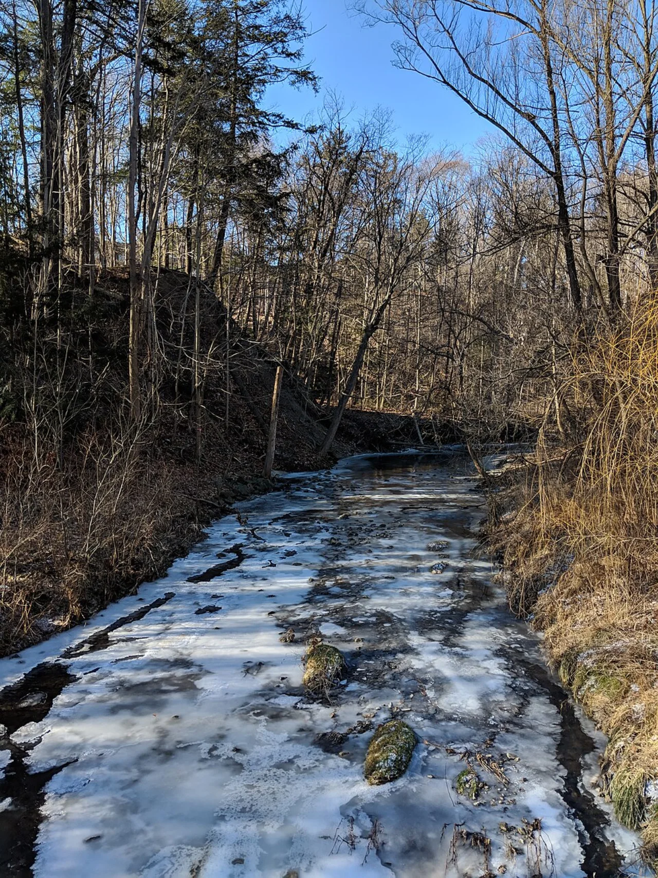 Ice across part of Wilket Creek beneath bare winter trees.