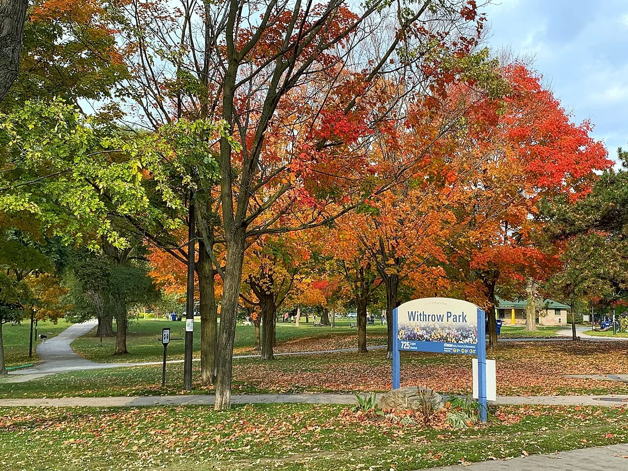 Autumn trees and a Withrow Park sign beside a path through the park.