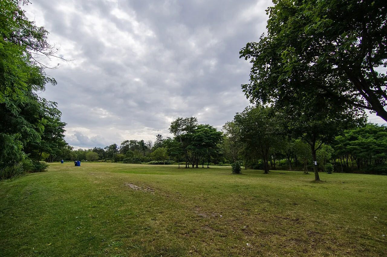 An open lawn edged by mature trees at Marie Curtis Park.