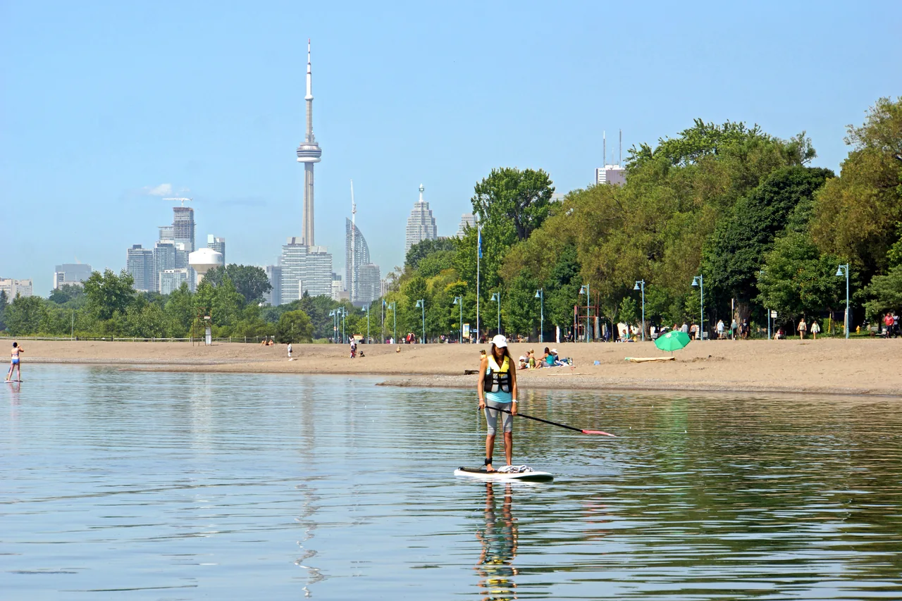 A paddleboarder on Lake Ontario beside the Beaches shoreline, with trees, beachgoers and Toronto’s skyline in the distance.