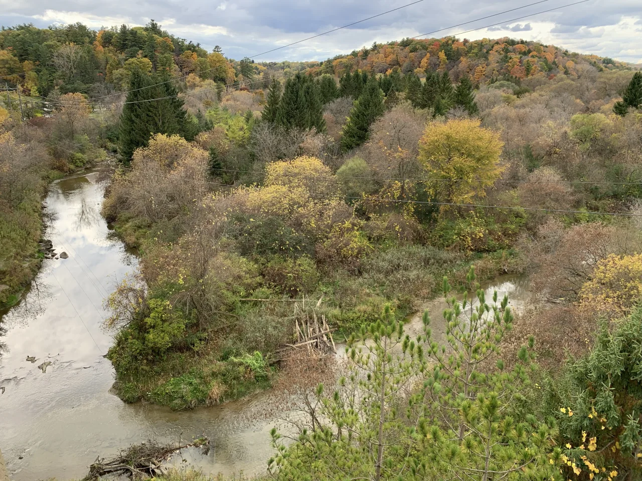 The Rouge River and Little Rouge Creek meet in a wooded valley with autumn foliage.